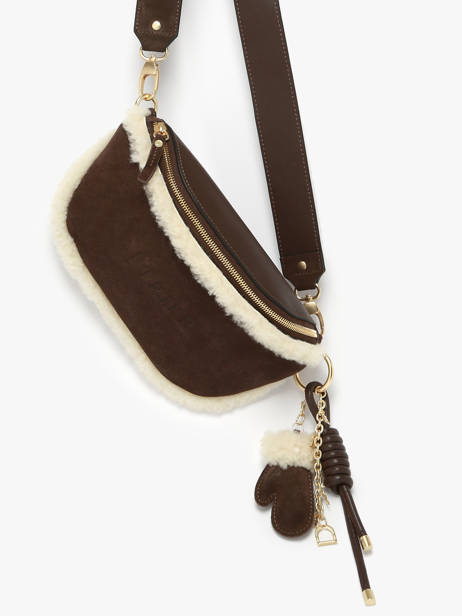 Sac Banane Etrier Marron alpin EALP022M vue secondaire 1