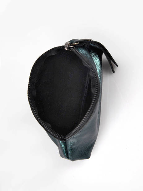 Trousse Xs Etincelle Irisée Cuir Etrier Vert etincelle irisee EETI651 vue secondaire 1